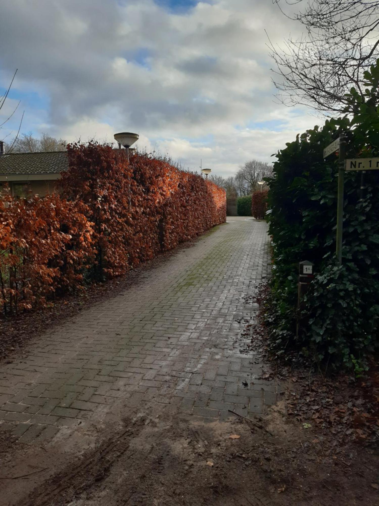 Huinerhofje 2 - Vrijstaand Met Grote Omheinde Tuin, Rust, Privacy En Nabij Bossen Villa Путен Екстериор снимка